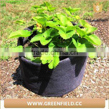 Green Field durable high quality felt root tree planting bag ,felt fabric nursery grow bag