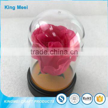 Transparent Clear Acrylic Flowers Box World Globe Dome photo-2