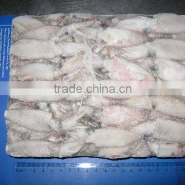 Hot Sale Whole Round Frozen Baby Squid photo-3