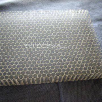 Uniform PP Honeycomb Core for Water Disfusser in Medical Equipment photo-3