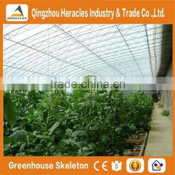 Heracles Low Cost Vegetable Greenhouse photo-4