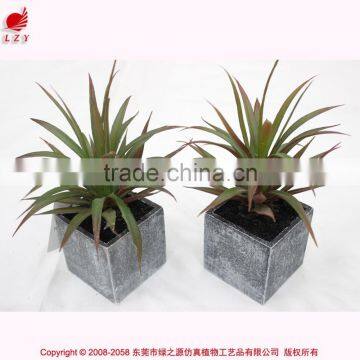 Wholesale Mini Succulent Potted Artificial Mini Aloe Green Aloe Artificial Plant photo-6