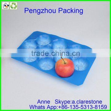 Pengzhou Plastic Injection Molding Tray photo-5