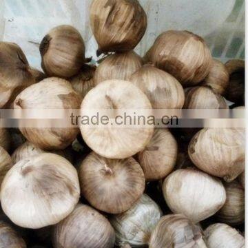 Fermentation Box Black Garlic Improves Lipids photo-6