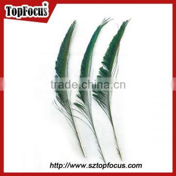 Wedding Dresses Decoration Indian Wholesale Natural Peacock Feather