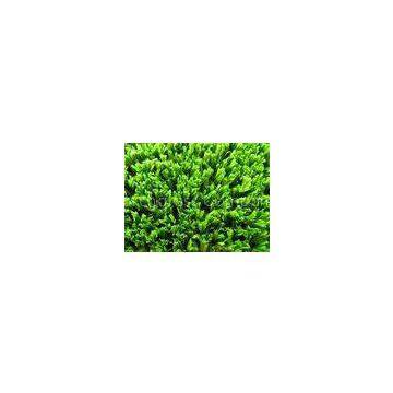 Polypropylene Durable Cricket Synthetic Turf Decorative Fake Grass Lawns Olive Green