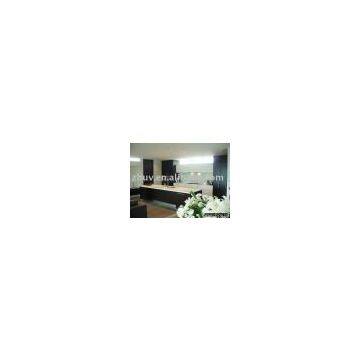 Lacquer Kitchen (kitchen cabinet door, storage cabinet,base cabinet,cabinet door, home furniture,decorative material,interio