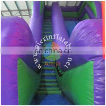 Aier 17m Long 56ft Giant Slide Outdoor Inflatable Water Slide for Sale
