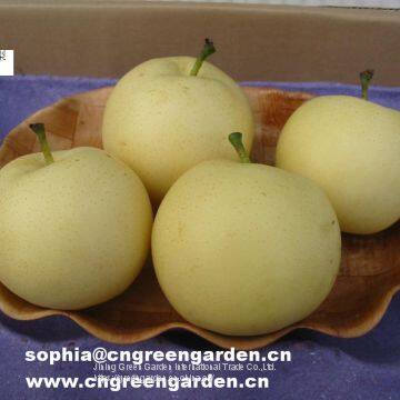 chinese fresh pear  yellow golden pear