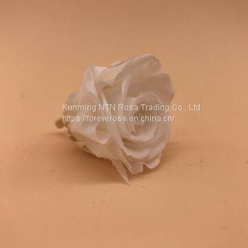Timeless Moments Flowers Preservation for Anniversary Decoration photo-2