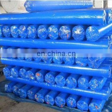 High quality PE Tarpaulin in roll exported to Malaysia