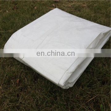 Silver polyester fabric lighted tarpaulin