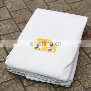 High quality cheap price 100% polyester tarpaulin for cover