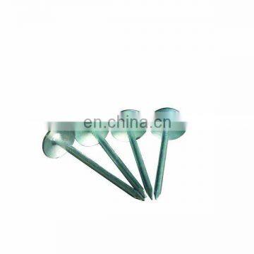 Competitive Zinc Roofing Nail With Umbrella Head photo-2