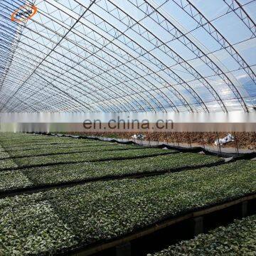 Low cost agriculture 200 micron uv resistant plastic film tunnel greenhouse