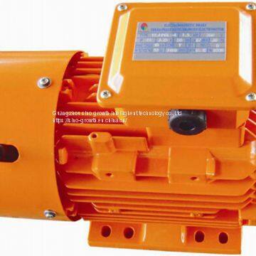 Yej Series Electronical Magnetic Brake Motor 2p 45kw