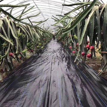 Garlic and Onion PP Woven Weed Control Mat,plastic Ground Cover Black Weed Kill Fabric,100gsm Anti Grass Gardening Mat photo-3
