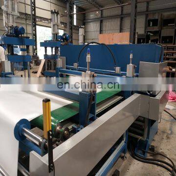 Auto Feeding Epe Foam Cut Hydraulic Cutting Machine photo-6