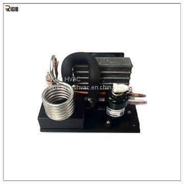 24 Volt Variable Speed Small Compressor for Micro Refrigeration System