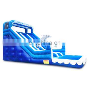 Dolphin Theme Inflatable Double Water Slide With Pool photo-4