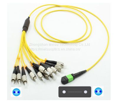 PM MPO Jumper Fiber Optic