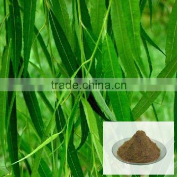 100% Natural White Willow Bark Extract Salicin