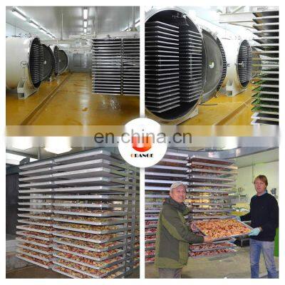 OrangeMech Commercial Vacuum Fruit/strawberry/mango Freeze Dryer Lyophilization Machine/freeze Drying Equipment photo-3