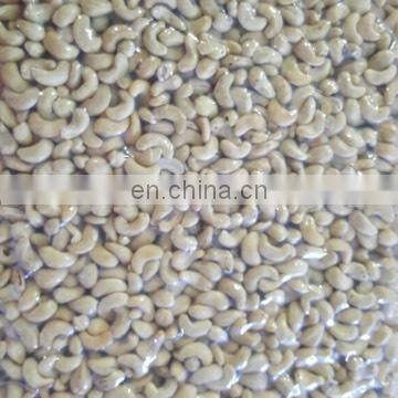 Cashew Nuts/ Cashew Kernel Vietnam with Cheap Prices