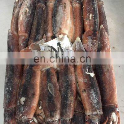 Frozen Argentina Illex Squid Frozen Illex Squid Price photo-2