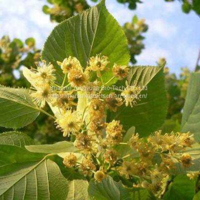 Linden flower extract, Tilia Cordata Extract 5:1 TLC, Tilia Vulgaris flower Extract, Tilia Cordata Flavones, Manufacturer, Yongyuan Bio