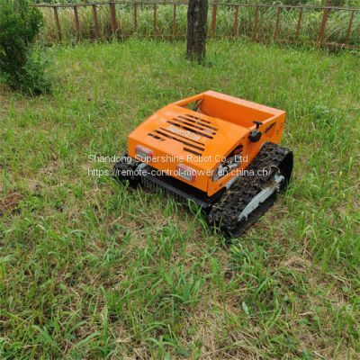 Customized Remote controlled grass cutter from China