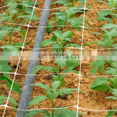 Extrude Strong Plant Support Climbing Fencing Trellis Netting photo-2