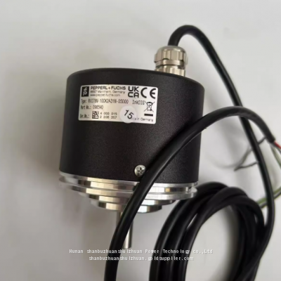 German Pepperl+Fuchs Encoder RVI78N-10CK2A31N-05000 New Original Spot photo-3