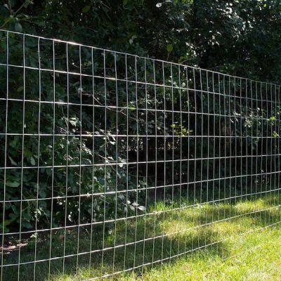 Best Selling Stainless Steel Welded Wire Mesh Hot Dipped Electro Galvanized Welded Wire Mesh Pvc Coated Welded Wire Mesh photo-4