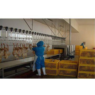 Small Automatic Chicken Slaughtering Poultry Slaughter Equipment Chicken Hair Removal Machine Case Turkey Colombia Thailand Set