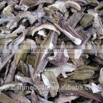 Market Prices For Boletus photo-6