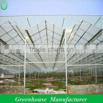 multi span polycarbonate greenhouse