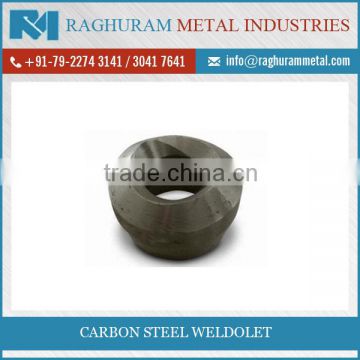 Durable Quality Super Selling Carbon Steel Weldolet ASTM for Sale