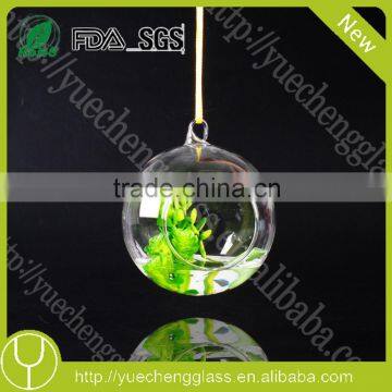 Modern Hanging Teardrop Shaped Clear Glass Vase photo-2