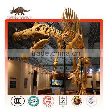 Life Size Dinosaur Fossil and Skeleton Model