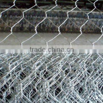 Hexagonal wire mesh best price high quality