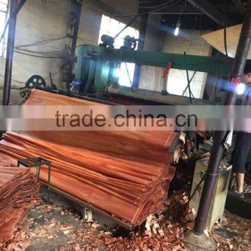 Gurjan Face Veneer/Keruing Face Veneer for Plywood photo-3