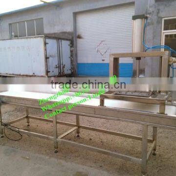 Custom Made Sausage Meat Cutter/sausage Cutting Machine for Sale photo-3