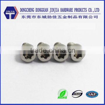 Dongguan Screw high quality stainless steel anti theft torx head screw