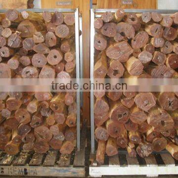 Sandalwood Log
