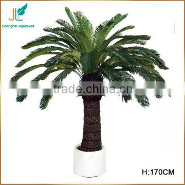 Customized Evergreen Artificial Cycas Revoluta Tree for Sale in Stock photo-2