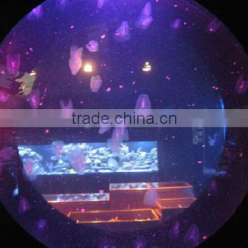 Customize jellyfish aquarium