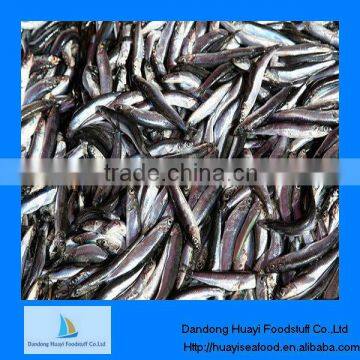 Fresh frozen seafood frozen sardine