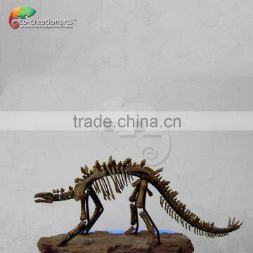 Dinosaur fossil replica for dinosaur museum educational sample