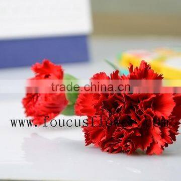 60 To 80 Stem Roses Flowers Fresh Red Carnation Fresh Cut Flower